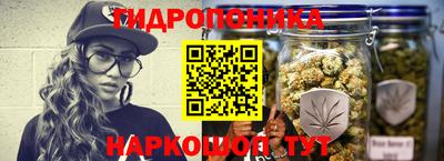 прущий лед Канаш