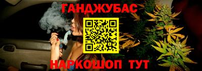 сатива Кандалакша
