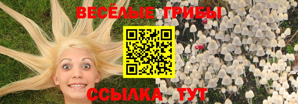 Галлюциногенные грибы Magic Shrooms  Вход с VPN  Кувандык  Псилоцибиновые грибы ЛСД 